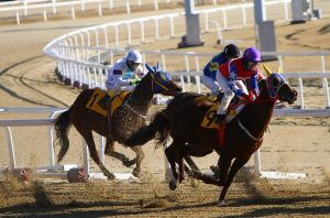 Secure Real Money Horse Racing Betting Review 2026: Bonus, App, Withdrawal Tested